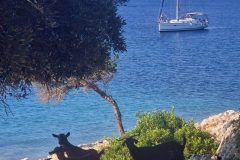 Sunday, 29.June 2025 18:53 Uhr. Καστός, Δημοτική Ενότητα Καστού, Δήμος Λευκάδας, Regionalbezirk Lefkada, Region der Ionischen Inseln, Peloponnes, Westgriechenland und Ionische Inseln, 310 81, Griechenland