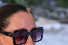 Segelurlaub im Mai/Juni 2026 von Split aus.