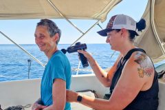 Segelurlaub im Mai/Juni 2026 von Split aus.